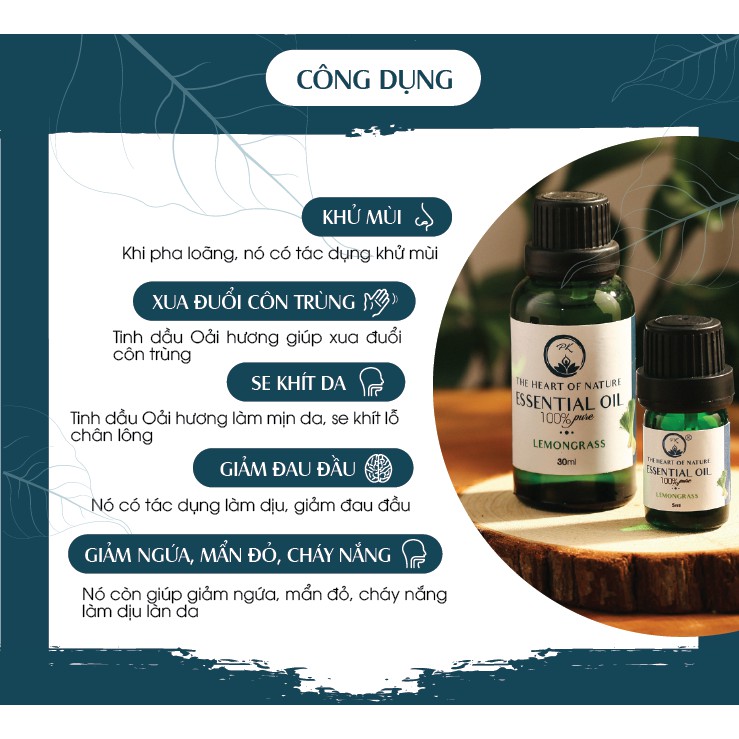 Combo tinh dầu PK lavender và tinh dầu ngọc lan tây trọn vẹn cách làm đẹp (10ml/chai)