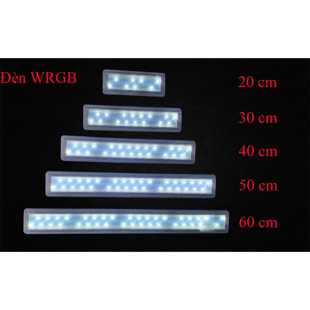 Đèn led thủy sinh 3 chế độ sáng 20cm, 30cm, 40cm, 50cm 60cm