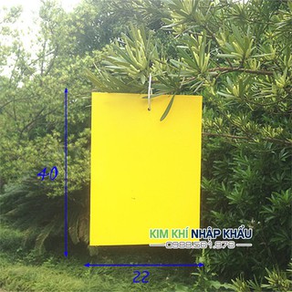 Miếng dán dính côn trùng, ruồi vàng 10 miếng - T34