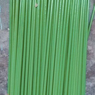 10 Que cắm lan màu xanh dài 80cm