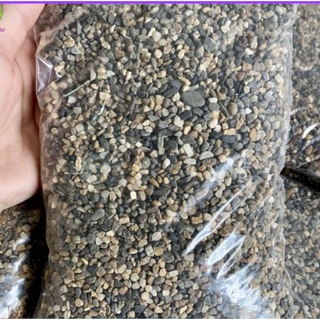  Combo 2KG Sỏi Sạn Suối Trải Nền Trang Trí Bể Cá Bể Thủy Sinh 