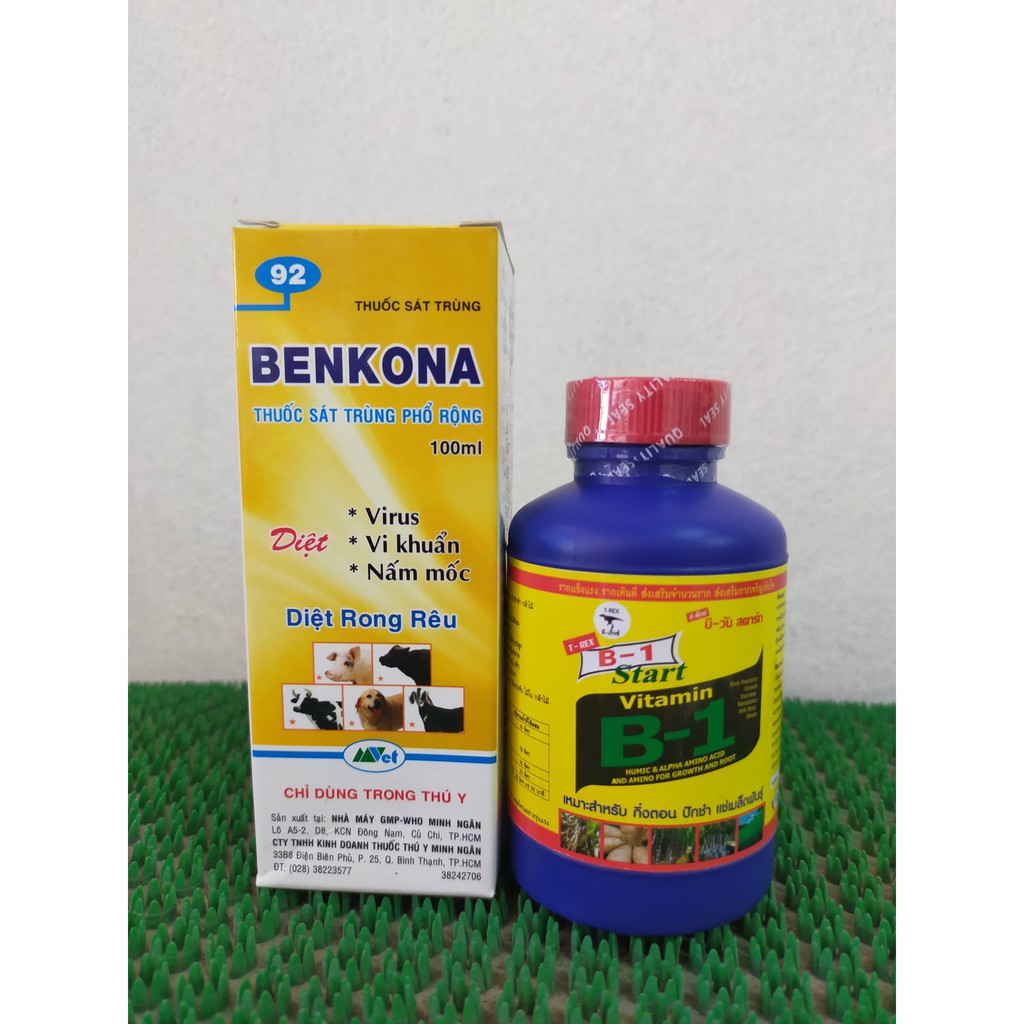 Combo B1 thái kích rễ + Bencona diệt rong rêu , virus, nấm mốc