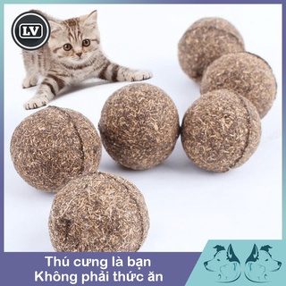 Quả bóng đồ chơi cho mèo, phủ cỏ bạc hà phụ kiện long vũ