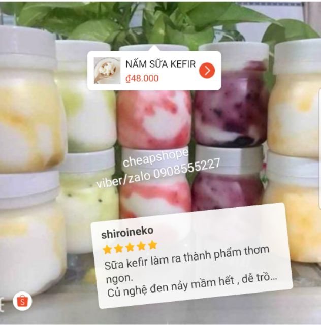 [Mã SRJULY1215 giảm 20K đơn 50K] NẤM SỮA KEFIR (HOMEMADE) LÀM SỮA CHUA | BigBuy360 - bigbuy360.vn