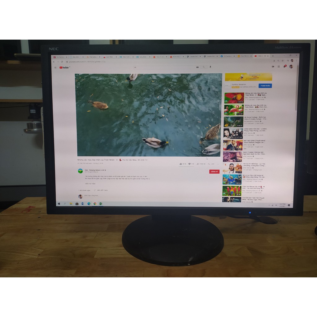 Màn hình Nec MultiSync EA244WMi