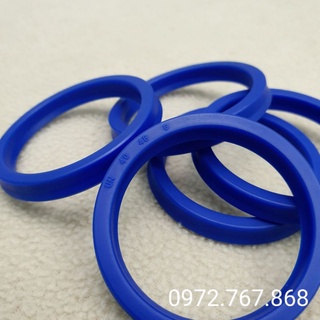 Phớt thủy lực 40-48-6