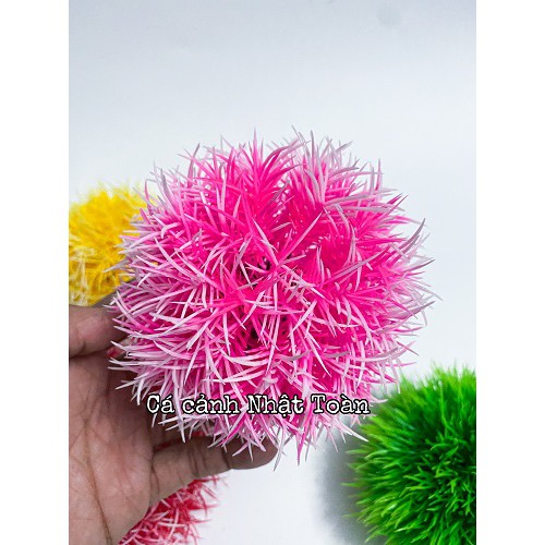 RONG CẦU ĐỦ MÀU TRANG TRÍ BỂ CÁ CAO 7CM