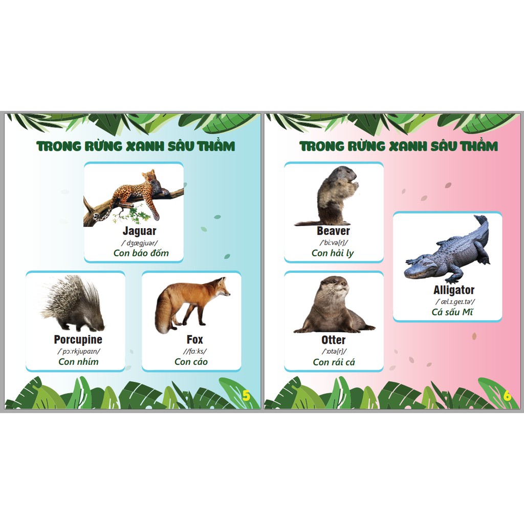 Sách - Cuốn Sách My First Book Of Animals - Chủ Đề Động Vật