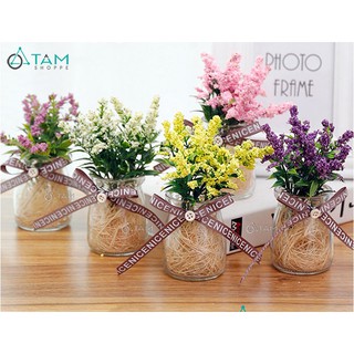 Chậu hoa nhỏ để bàn Lavender số 77