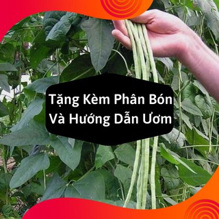Combo 2 Gói Hạt Giống Đậu Đũa