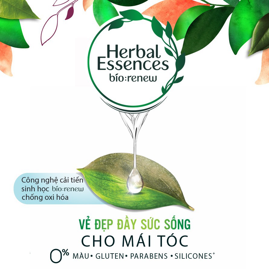 Bộ Gội Xả Herbal Essences Bưởi và Bạc Hà 400ml/ chai