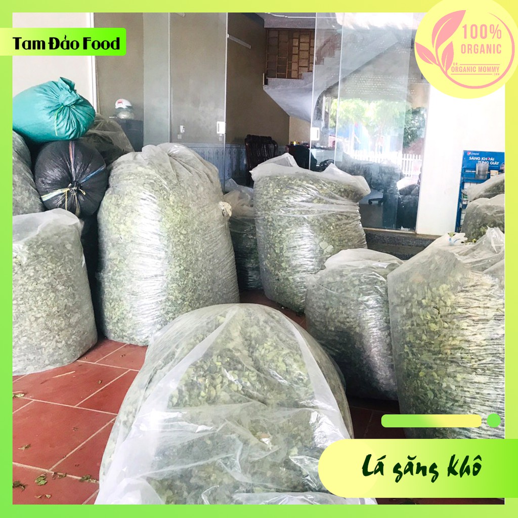 Lá găng làm thạch - Loại 1Kg - Hướng dẫn làm thạch tại nhà - Tam Đảo Food