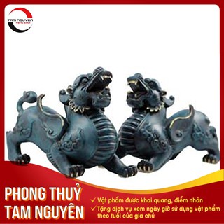 Cặp tỳ hưu chiêu tài, hóa sát - Phong Thủy Tam Nguyên