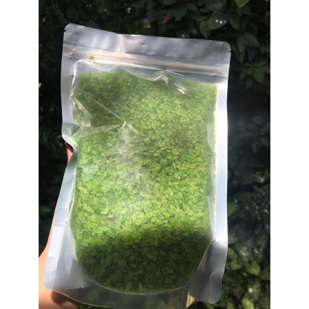 0.5KG CỐM XANH KHÔ LÀNG VÒNG LOẠI 1 THƠM NGON