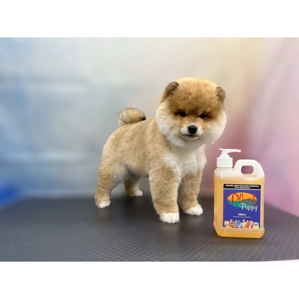 Sữa tắm chó mèo PLUSH PUPPY tinh chất lúa mỳ giúp bông lông - Natural Body Building Shampoo with Wheatgerm