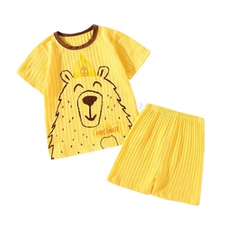 Bộ cotton giấy siêu mát hàng QC