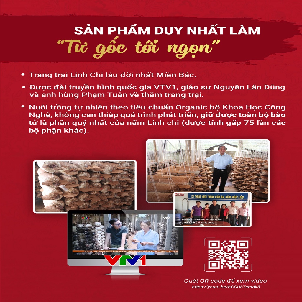 Set Quà Tặng Sinh Nhật Vì Sức Khỏe- Quà Tặng Linh Chi Đỏ Nhất Long Chính Hãng- Kìm Hãm Sự Phát Triển Tế Bào Ung Thư | BigBuy360 - bigbuy360.vn