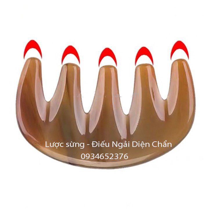 Lược Sừng chải thông kinh lạc 5 răng, chuyên làm body, massage Diện Chẩn Thân Tâm