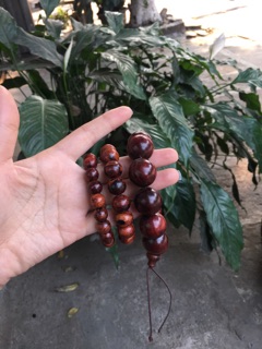 VÒNG TAY GỖ SƯA