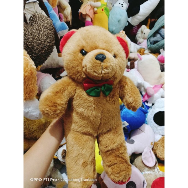 Teddy gấu bông dễ thương size 40_50cm