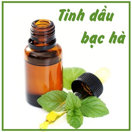 Tinh dầu bạc hà 20ml