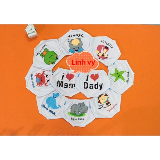 Set 10 quần đáy ngang co bé 5-7kg