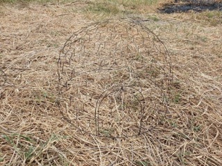 Bội úp đất INOX 6zem