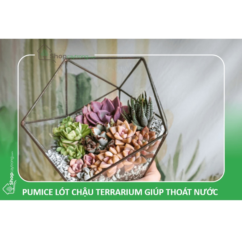 Đá pumice, đá bọt size 3-6mm (1kg) - Đá rãi mặt sen đá, trồng cây, terrarium