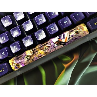 [ ORDER ] NÚT BÀN PHÍM / KEYCAP RESIN CÁ KOI PHÍM SPACE