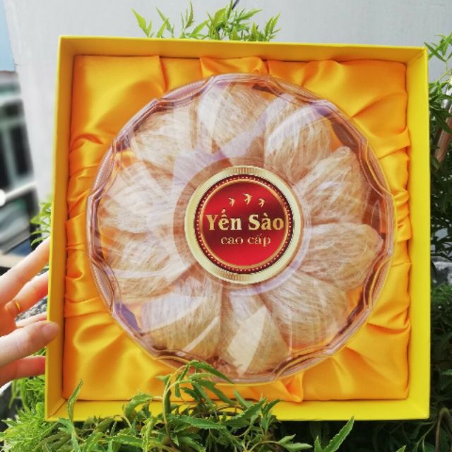 Yến sào Cao cấp