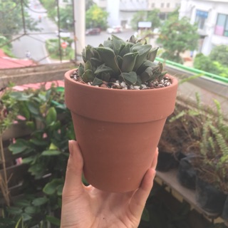 Chậu gốm đất nung 6x6cm