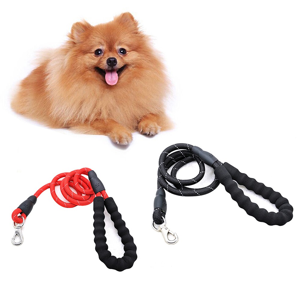 Dây Dẫn Thú Cưng Đi Dạo Tiện Lợi