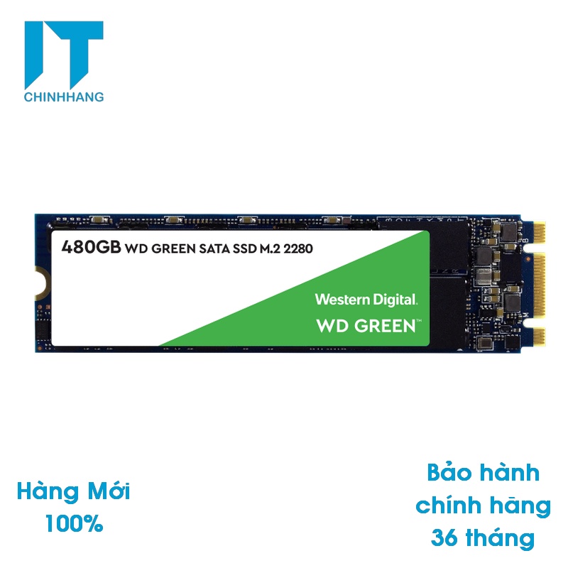 Ổ cứng SSD Western Digital Green M.2 2280 Sata 240GB 480GB WDSG2G0B - Hàng Chính Hãng