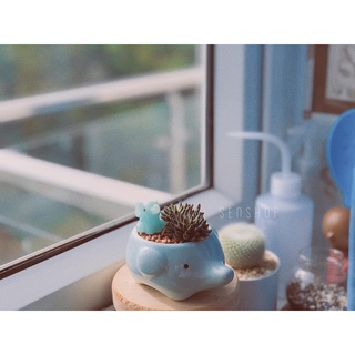 Chậu hình thú chất liệu gốm sứ .