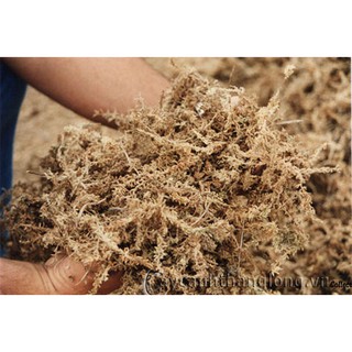 100GR DỚN TRẮNG CHILE - 1 BAO