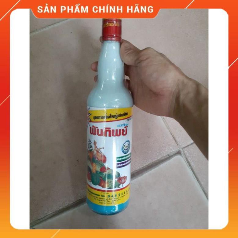 SỮA THÁI CHO HOA LAN CHAI 725ML.