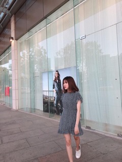 ĐẦM HOA NHÍ VIỀN BÈO