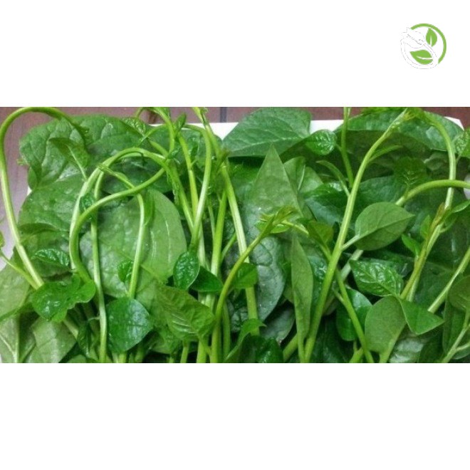 Hạt Giống Mồng Tơi Cao Sản  Phú Nông - Gói 20g - 50g - Ceylon Spinach