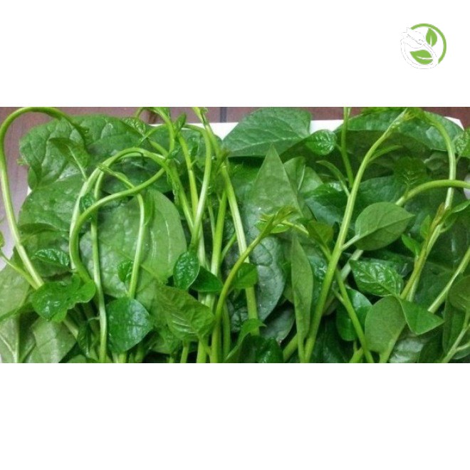 Hạt Giống Mồng Tơi Cao Sản (Lá To) Phú Nông - Gói 20g - 50g - Ceylon Spinach