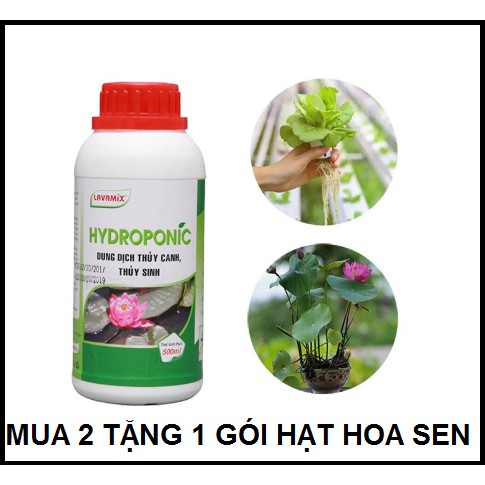 Dung Dịch Thủy Canh, Thủy Sinh LAVAMIX Trồng Sen Mini, Rau Mầm, Xà Lách, Cây Cảnh Phong Thủy, Phong Lan 100ML