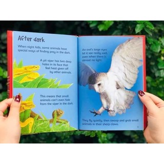 Bộ nhập 10q - Usborne Biginners Animals