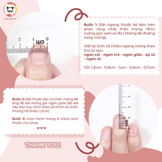 Nailbox, móng úp, móng giả tiểu thư