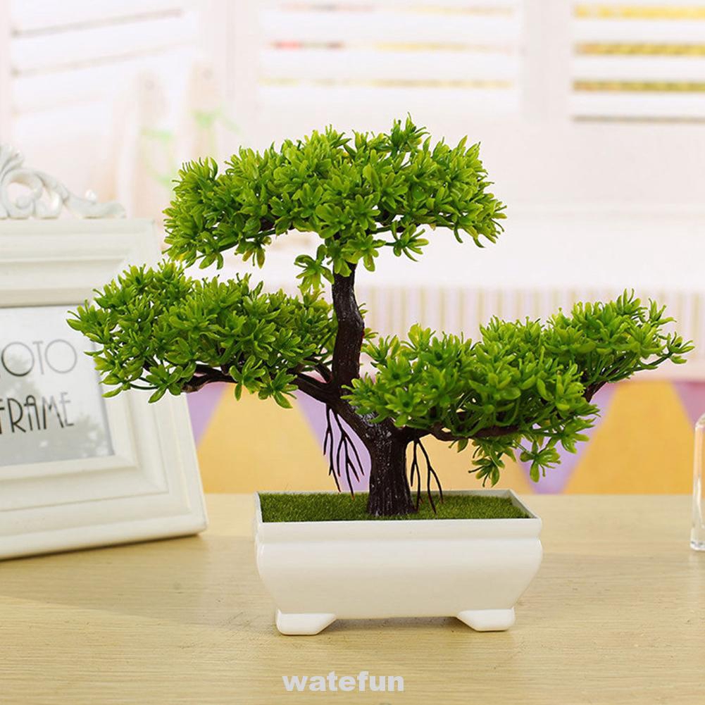 Cây Bonsai Giả Mini Trang Trí Văn Phòng