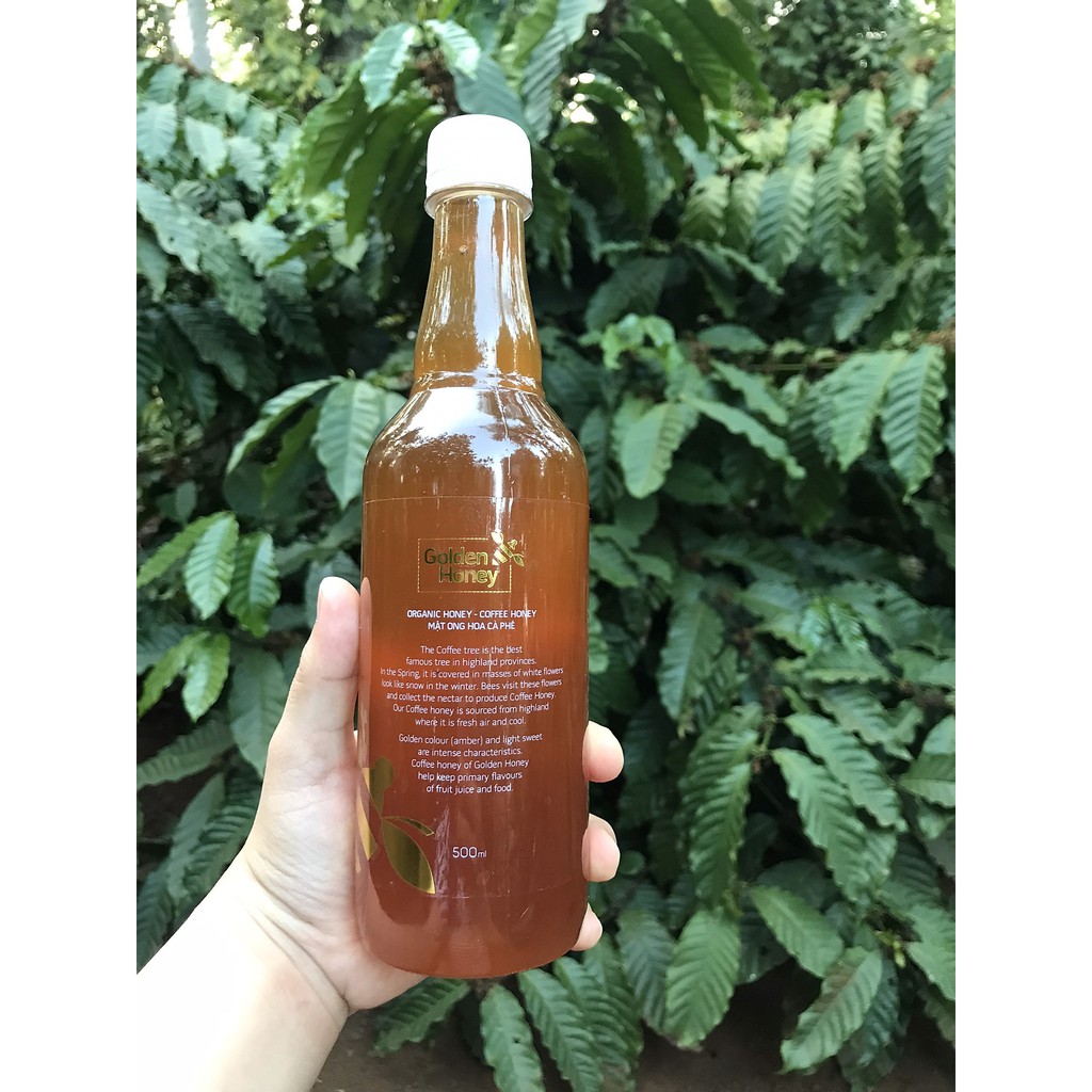 Mật ong hoa cà phê nguyên chất Golden Honey 500ml, mật ong đắk lắk nuôi