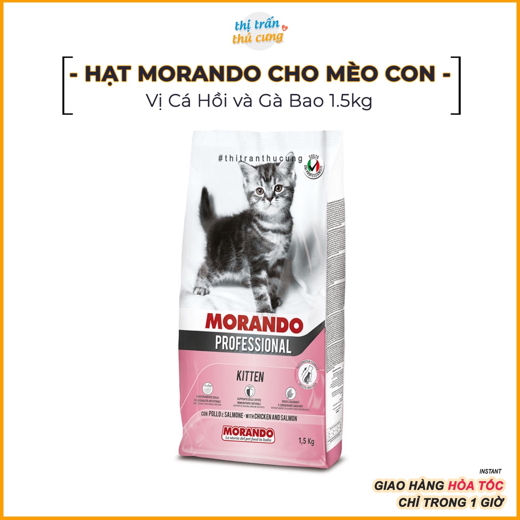 Hạt Morando Kitten Dành Cho Mèo Con 1.5kg Vị Cá Hồi và Gà xuất xứ Italy