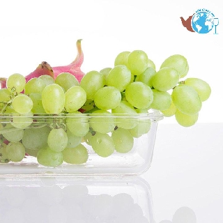 Hộp đựng cơm 2 ngăn chữ nhật - hộp thủy tinh 1 lít đựng thực phẩm BX1001-2GD - Hộp chịu nhiệt cao dùng được lò viba