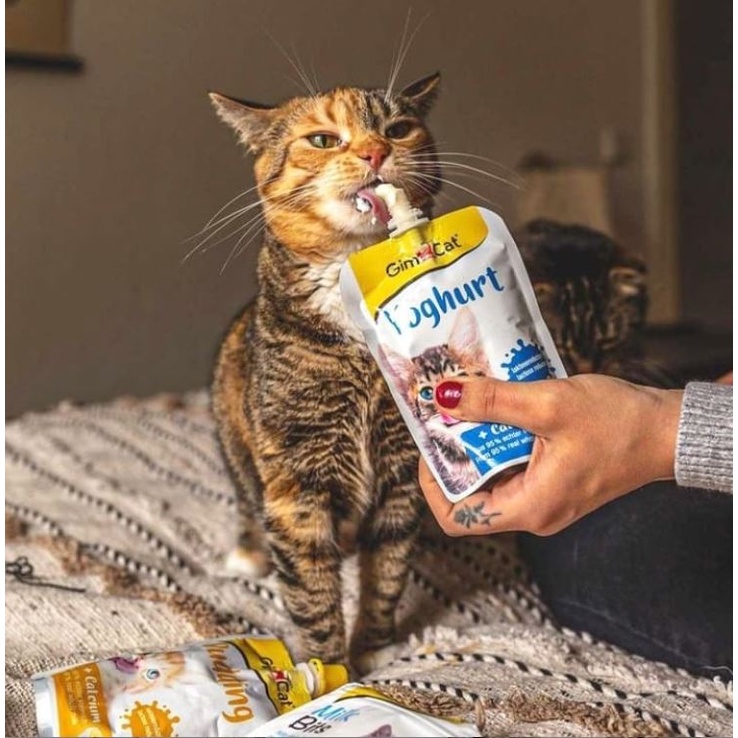 Sữa chua cho mèo GimCat Youghurt 150gr hỗ trợ tiêu hóa và bổ sung canxi