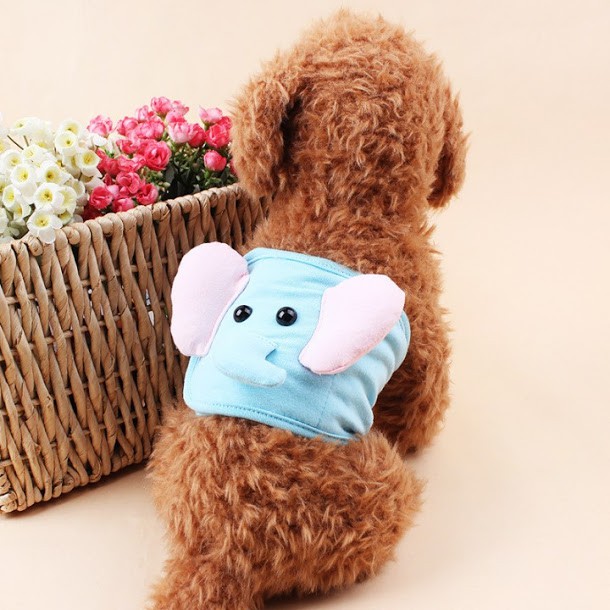 [MUA NHIỀU GIÁ RẺ] TÃ QUẦN SINH LÝ CHÓ ĐỰC ĐA MÀU XUDAPET(GIAO MÀU NGẪU NHIÊN) - SP000544