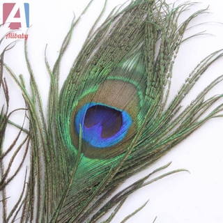 Set 10/20/50 Đuôi Công Giả Tự Nhiên 25-30cm Trang Trí Đa Năng