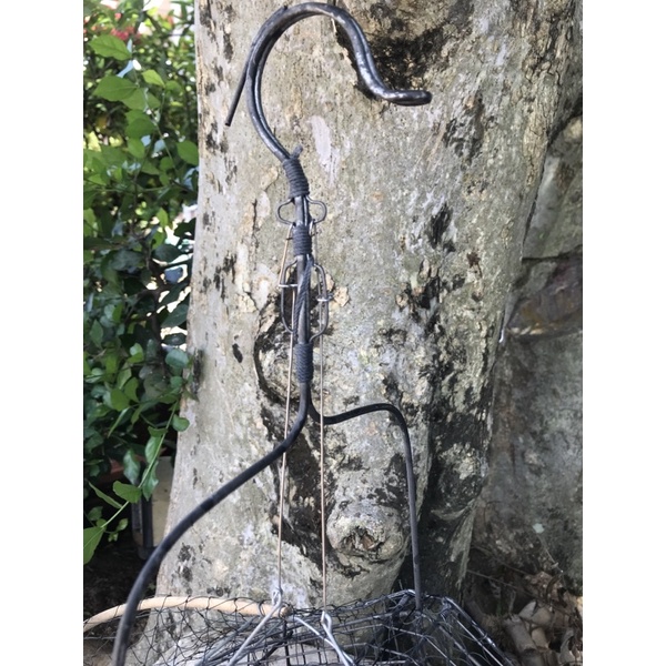 Lụp bẫy chim chào mào, chim choè than